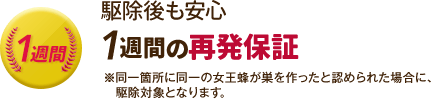 1週間の再発保証。同一箇所に同一の女王蜂が巣を作ったと認められた場合に、駆除対象となります。